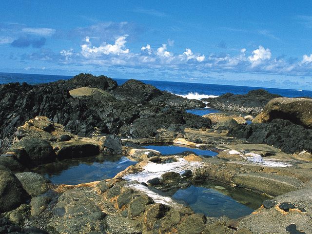 1月の屋久島ツアーは…イメージ