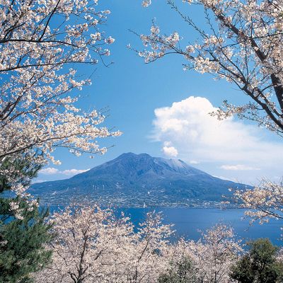 鹿児島ゴルフツアーイメージ