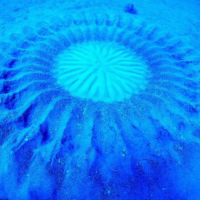 奄美大島イメージ