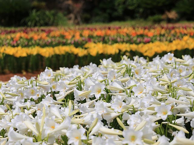 ホテルが選べるイメージ