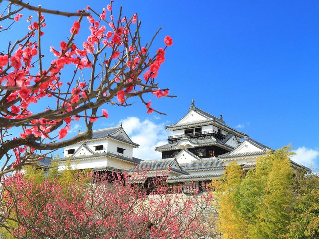 松山城イメージ