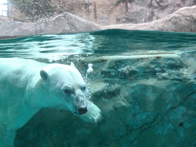 旭川のホテルイメージ