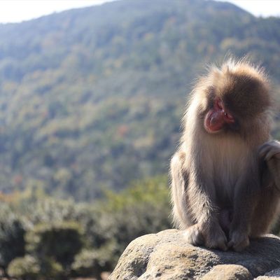 小豆島のホテルイメージ