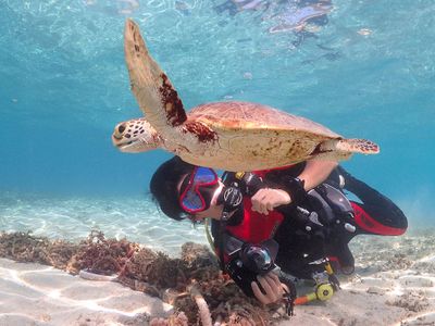 沖縄体験ダイビングイメージ