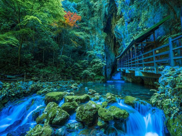 山口県のホテルから選べるイメージ