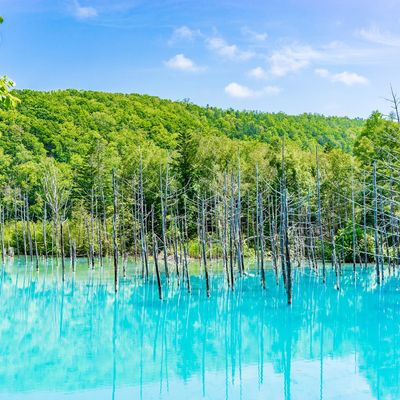 「道央エリア」フリープランイメージ