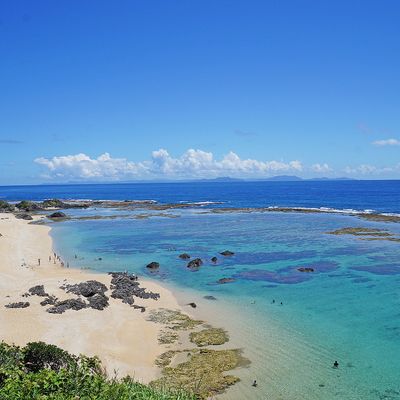 徳之島フリープランイメージ