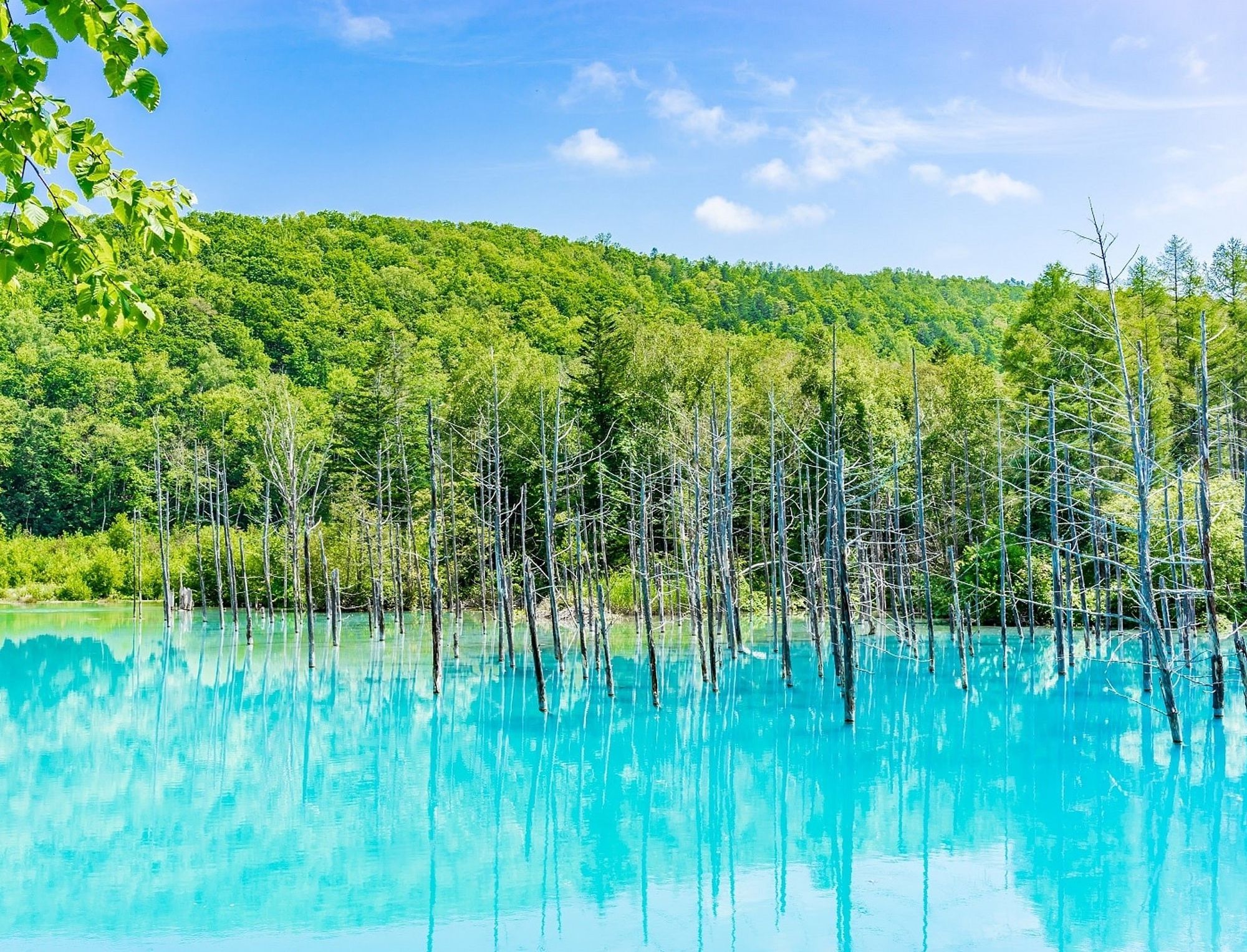 北海道