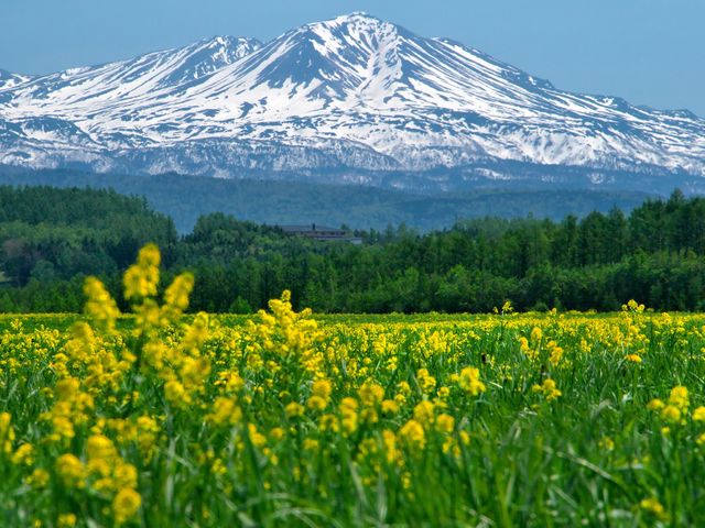 5月ファイナルバーゲン♪ガソリン満タン返し不要!北海道周遊プランイメージ