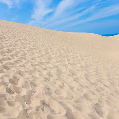 鳥取 県民限定プラン特集！宿・ホテル予約イメージ