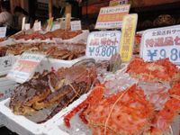 センチュリーマリーナ函館周辺スポット①の画像