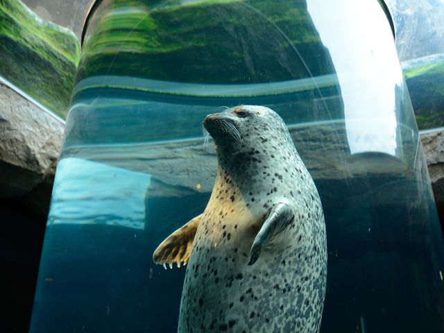 北海道家族旅行におすすめ<br />
観光スポット&アクティビティイメージ
