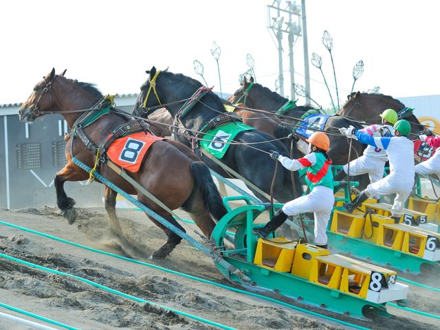 ばんえい競馬イメージ