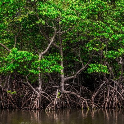 西表島のホテルイメージ