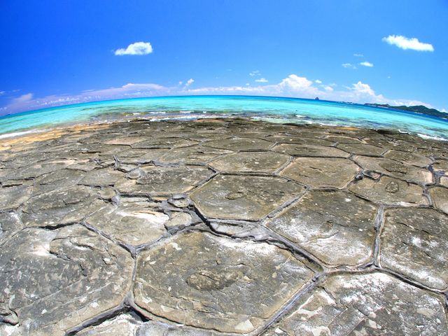 とにかく安くいきたい!久米島フリープランイメージ