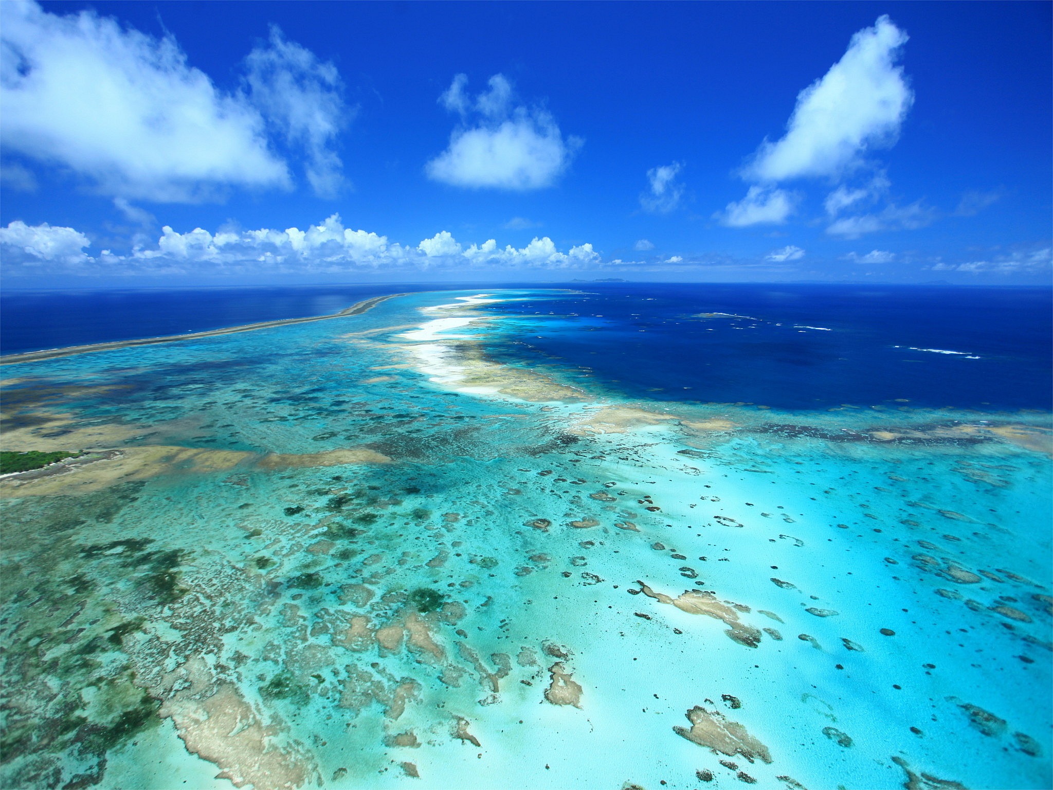 ソース画像を表示