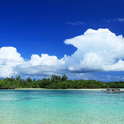 石垣島フリープランイメージ