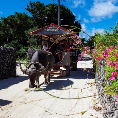 八重山乗船フリーパス付イメージ