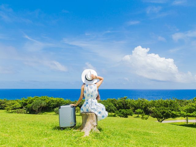 沖縄本島フリープランイメージ