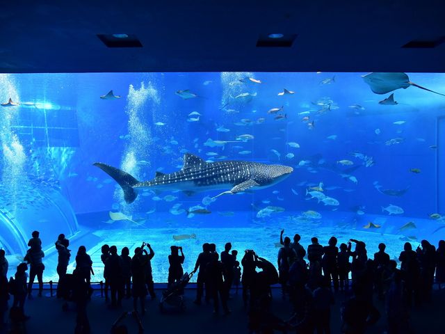 バスを使った沖縄旅行の楽しみ方①イメージ