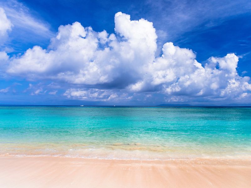 ニシ浜