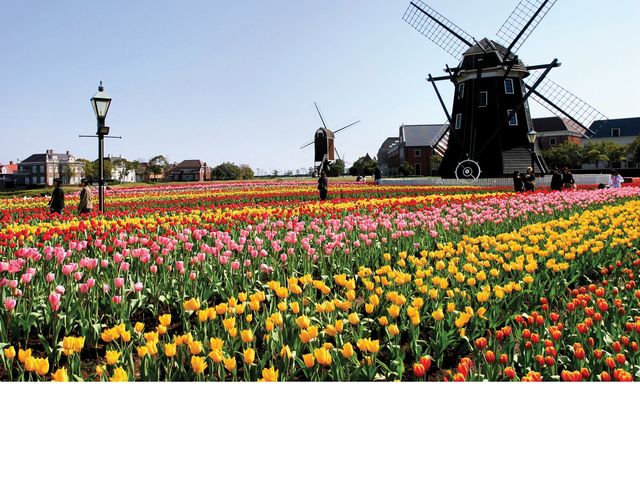 ハウステンボスパス付　長崎フリープランイメージ