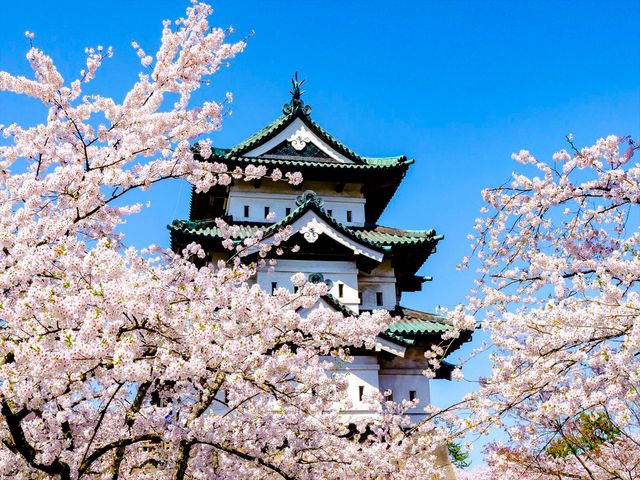 東北周遊フリープランイメージ