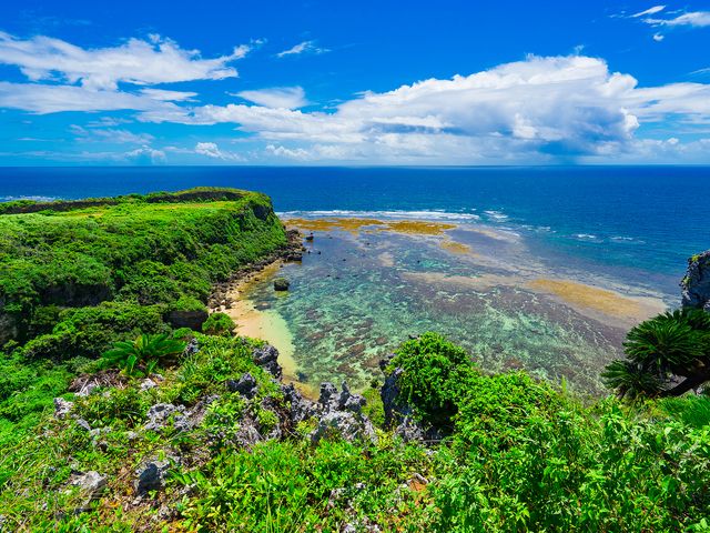 北風に強い東海岸イメージ