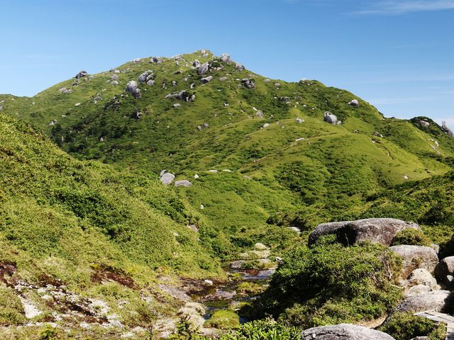専属ガイドと行く！宮之浦岳登山コース付イメージ