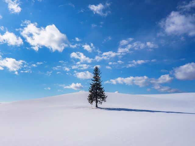 北海道フリープランイメージ