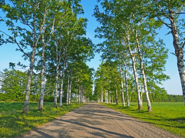 帯広&北海道フリープランイメージ