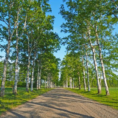 北海道|聖地巡礼旅行イメージ