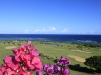 シギラベイカントリークラブの画像