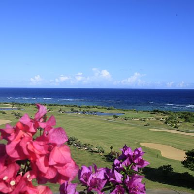 宮古島ゴルフツアーイメージ