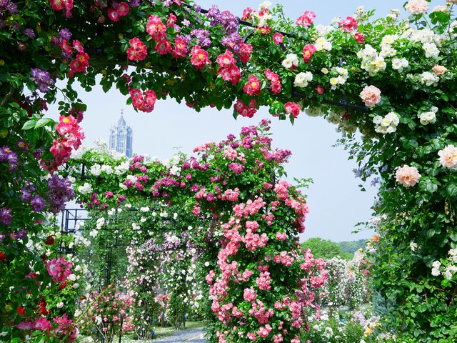 九州７県フリープランイメージ