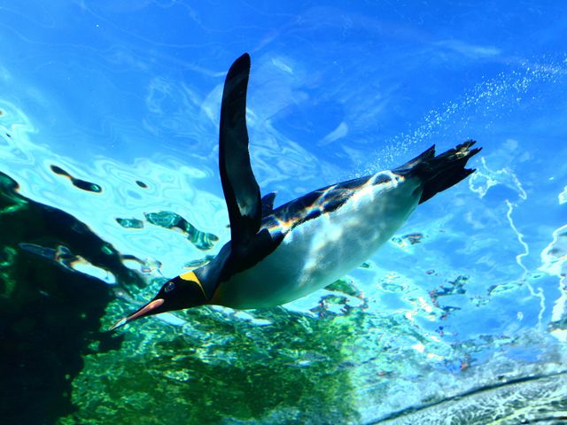 もちろん動物園もおすすめ!イメージ
