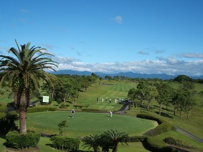 【販売停止中】ハイビスカスゴルフクラブイメージ