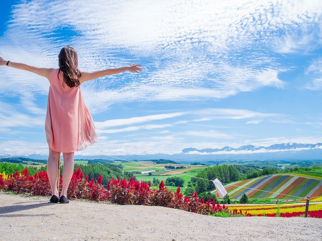 道央エリア周遊フリープランイメージ