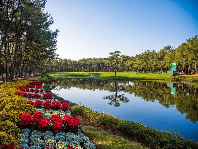 トーナメントコースも選べるイメージ