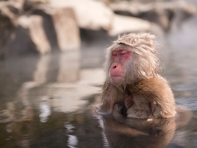 北海道といえば「温泉」イメージ