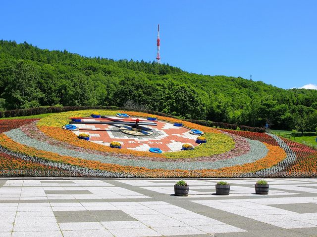 十勝が丘展望台イメージ