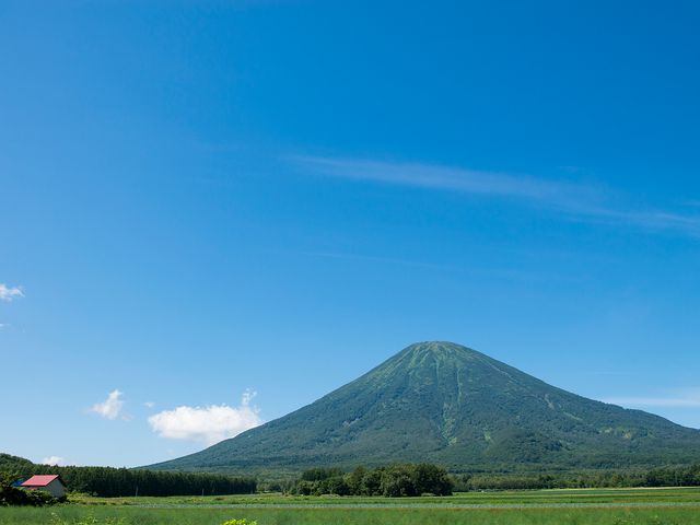 レンタカーで巡る全道周遊フリープランイメージ