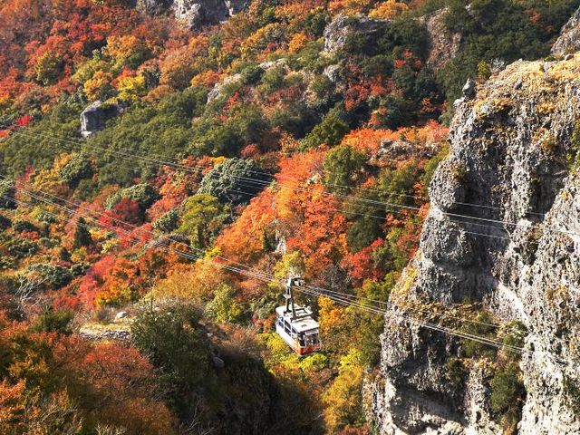 日本三大渓谷美 寒霞渓イメージ