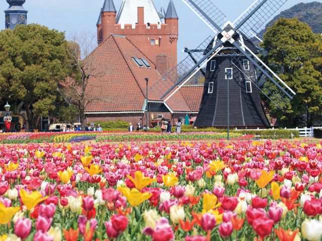 九州周遊フリープランイメージ