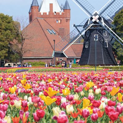 九州周遊フリープランイメージ