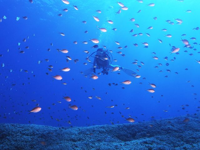 Bonz.Okinawa（ボンズ沖縄）イメージ