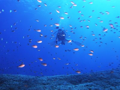 Bonz.Okinawaイメージ