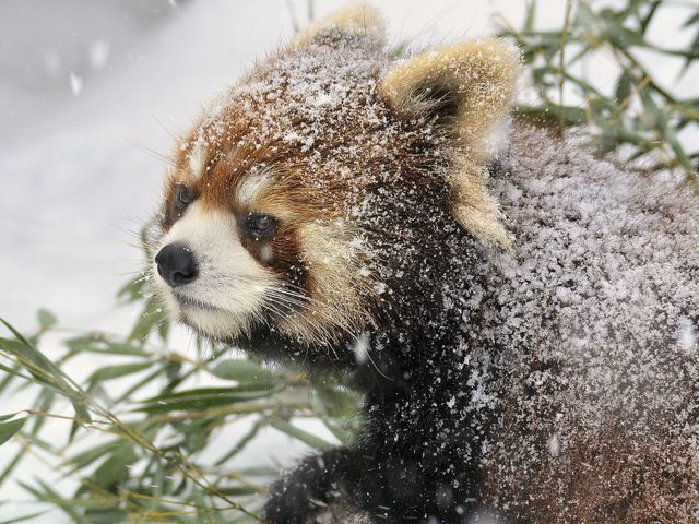 3月の北海道観光情報<br />
おすすめスポットイメージ
