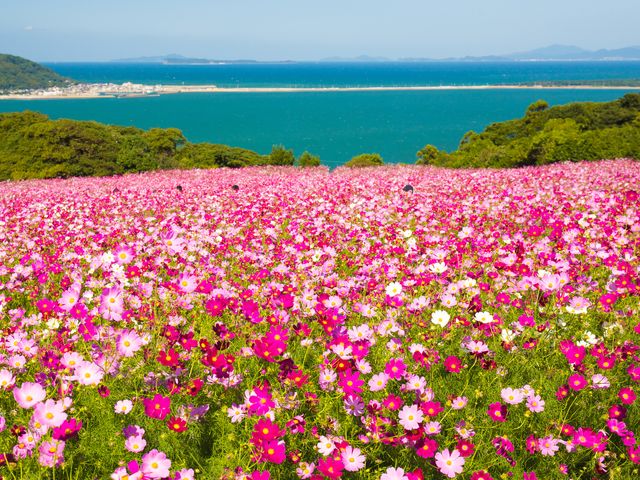 能古島イメージ