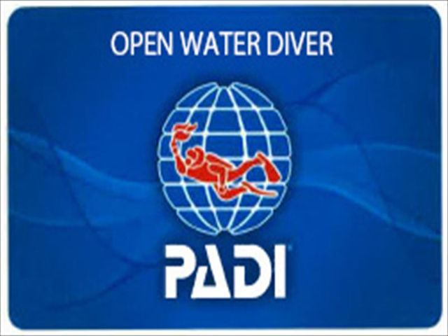 ⑥ダイバーの仲間入りイメージ